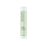 Anti-Frizz Shampoo Paul Mitchell Antifrizz 250 ml shampoo bottle