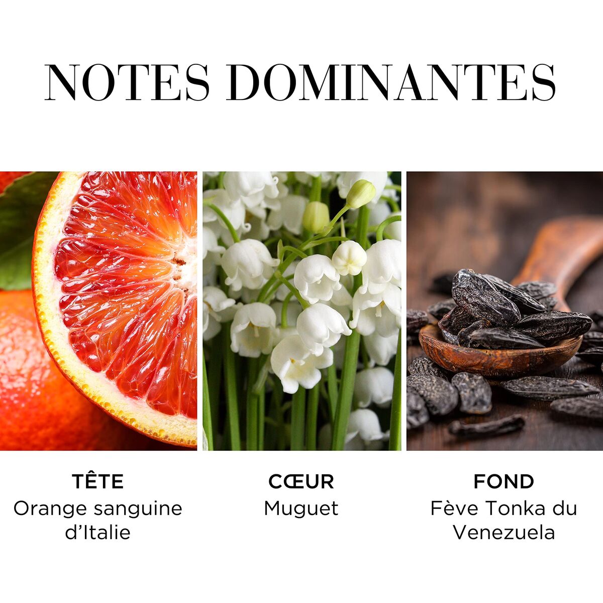 Women's Perfume Elizabeth Arden WHITE TEA for Women product packaging