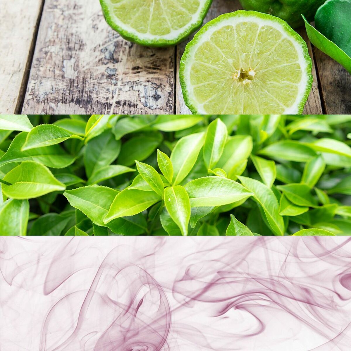 Unisex Perfume Calvin Klein PZF40450 EDT 50 ml for Women bottle