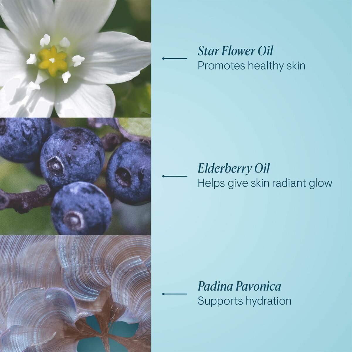 Facial Cleanser Elemis Pro-Collagen Cleansing Balm 100 g skincare packaging