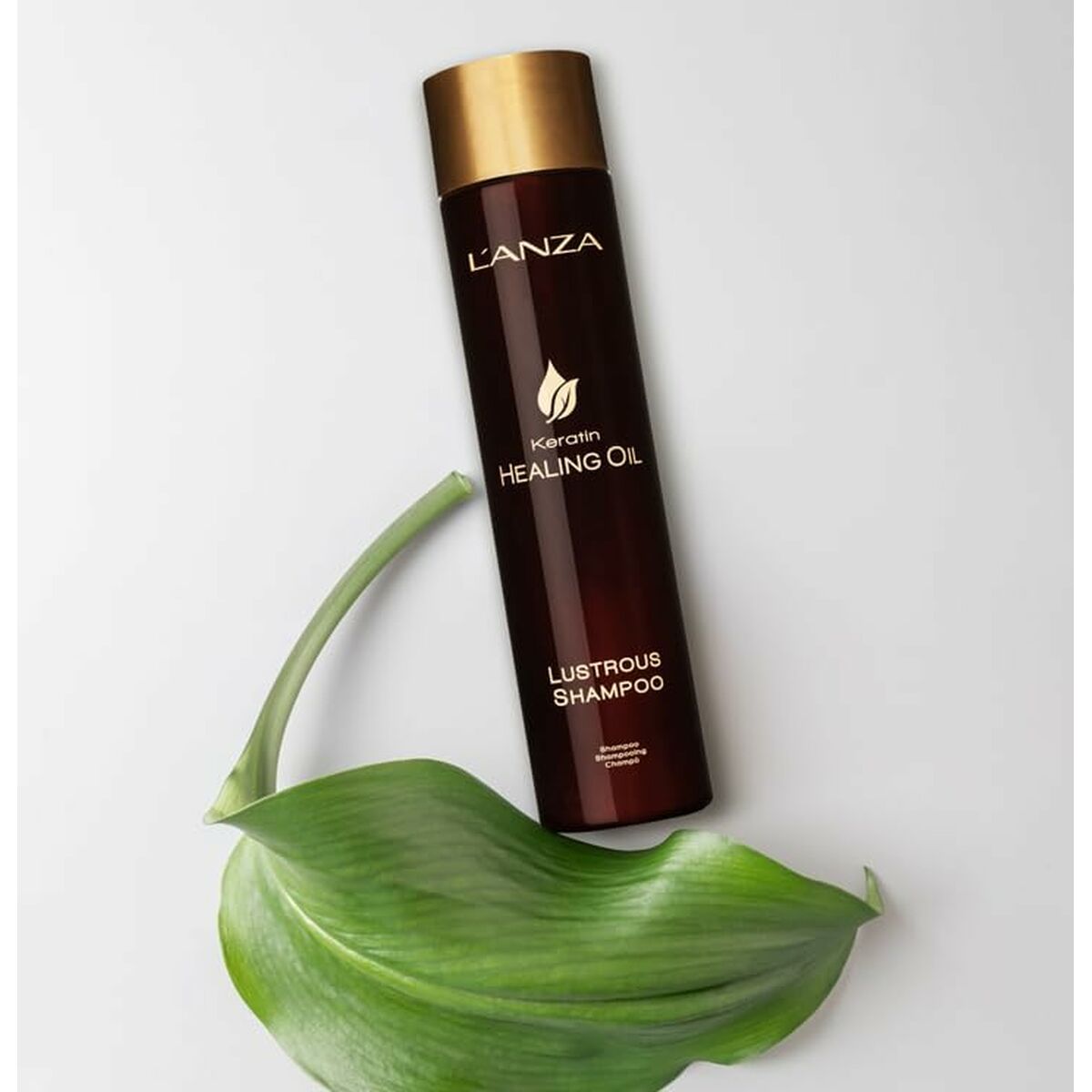 Shampoo L'ANZA 300 ml shampoo bottle