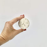 Shampoo Bar The Organic Republic Champú Sólido 70 g shampoo bottle