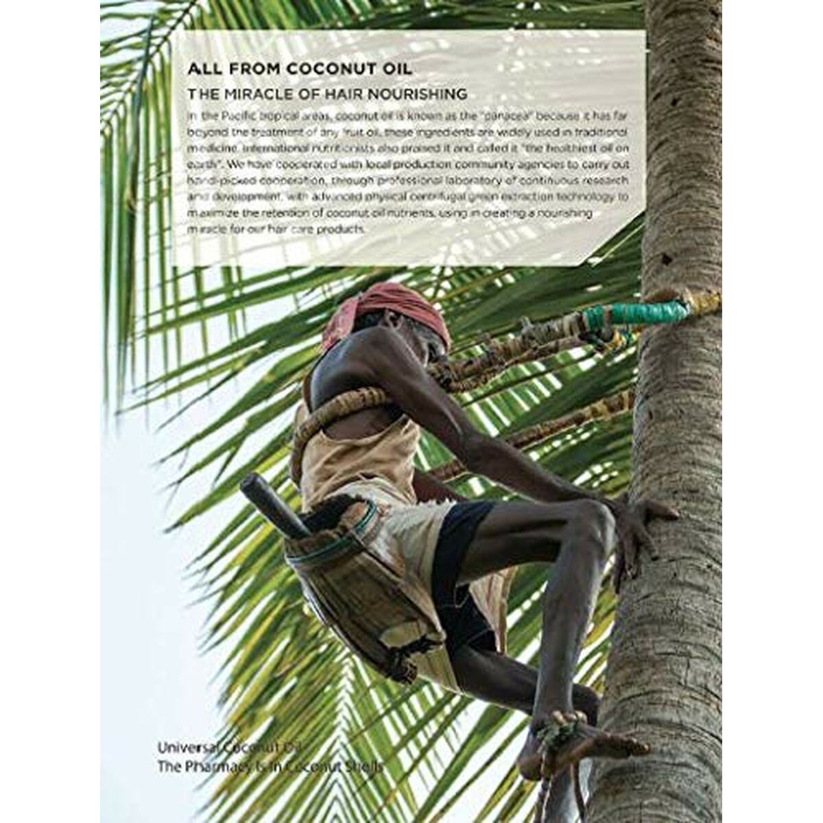 Moisturizing Shampoo Beaver COCONUT OIL & QUINOA 350 ml shampoo bottle