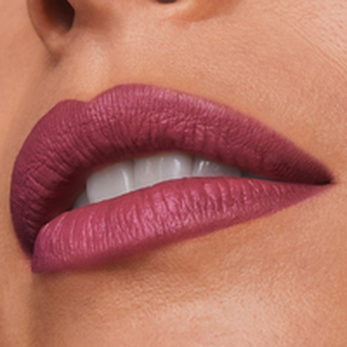 Lipstick Estee Lauder Pure Color Maryland 3,5 g 3.5 g makeup packaging