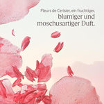 Reducing Cream L'Occitane En Provence FLEURS DE CERISIER skincare packaging