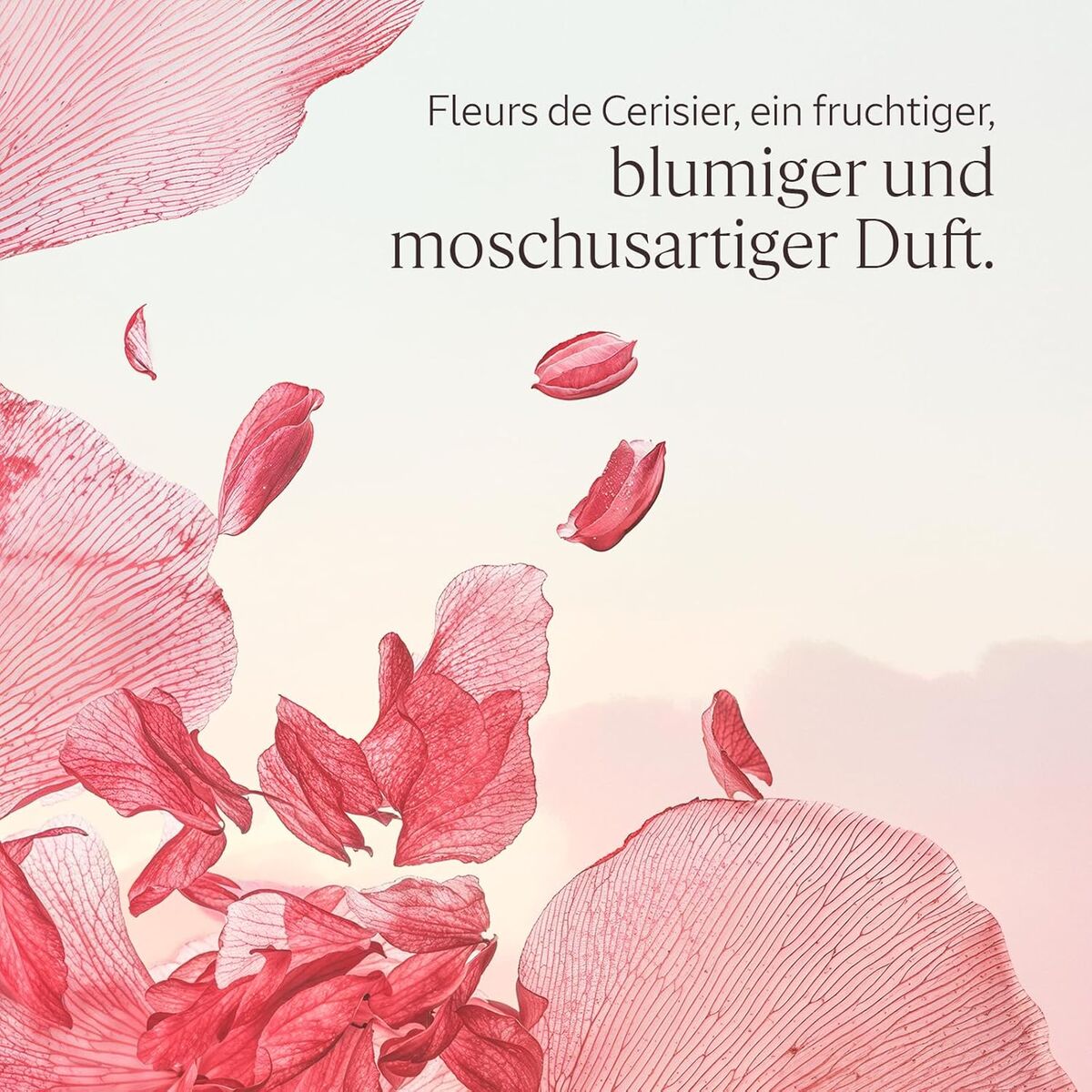 Reducing Cream L'Occitane En Provence FLEURS DE CERISIER skincare packaging