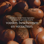 V1H5392601844F1769871A747A81FCFE70FRP3