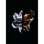 Women's Perfume Givenchy L'Interdit Absolu L'Interdit Absolu 50 ml for Women product packaging