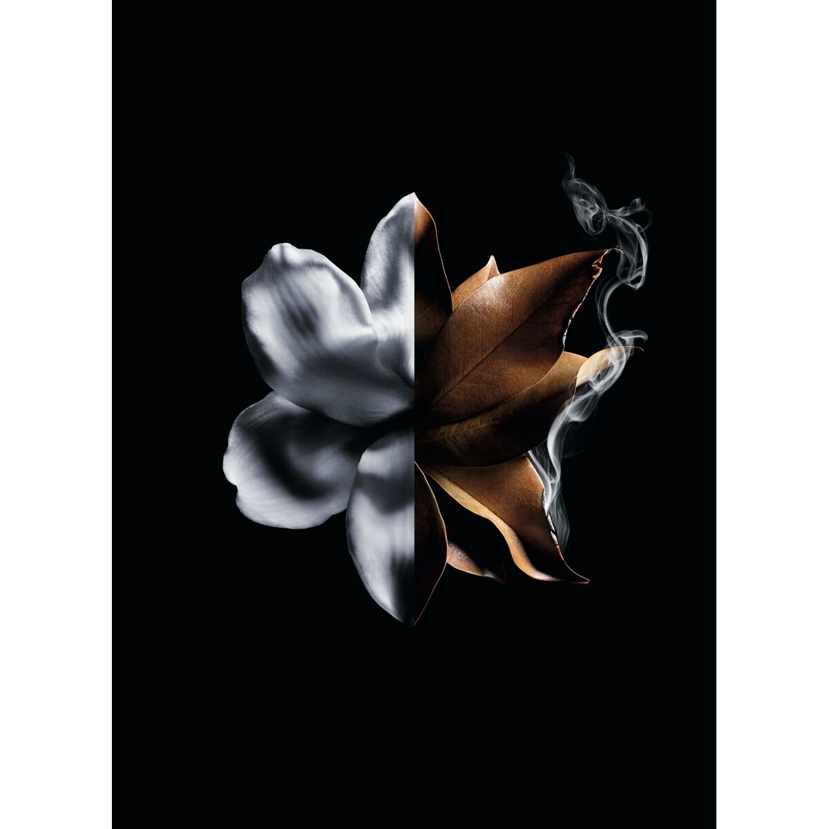 Women's Perfume Givenchy L'Interdit Absolu L'Interdit Absolu 50 ml for Women product packaging