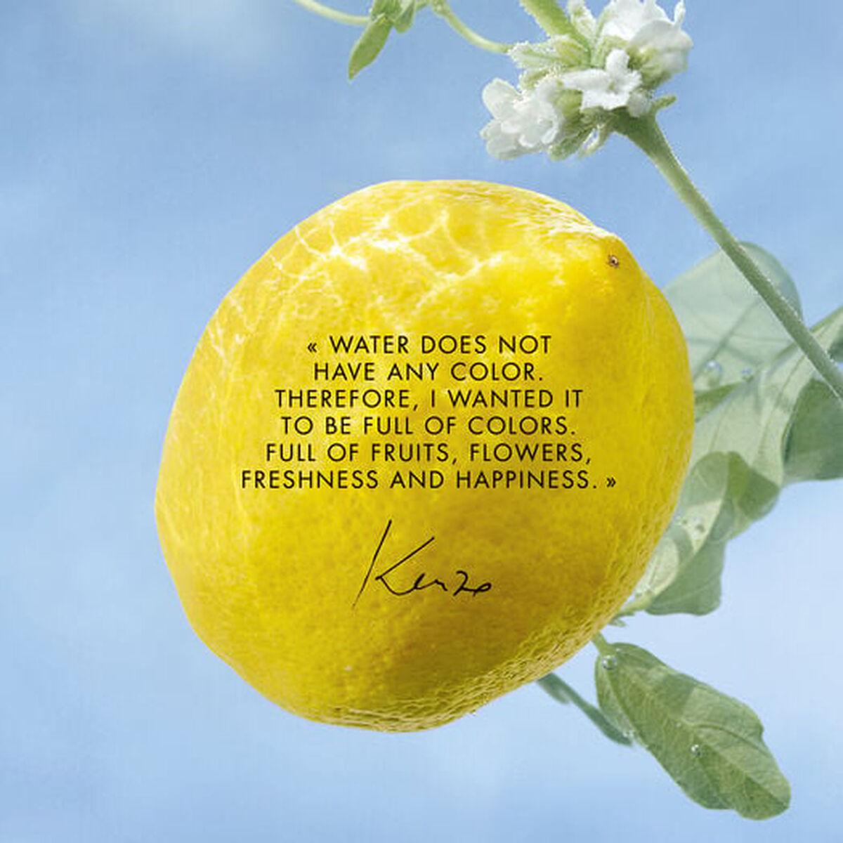 Unisex Perfume Kenzo L'EAU PURE 50 ml product packaging