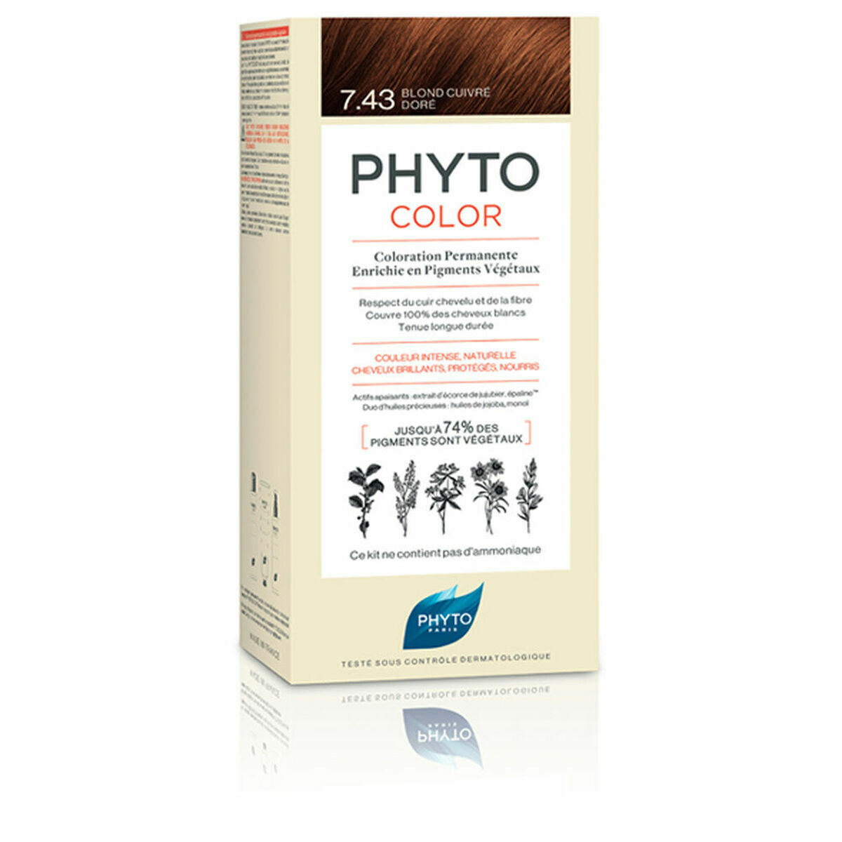 Permanent Colour Phyto Paris Phytocolor 7.43-rubio dorado cobrizo Nº 7.43-Rubio Dorado Cobrizo for Women product packaging