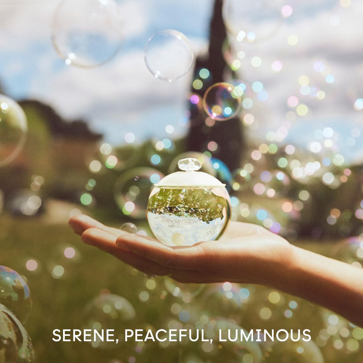 Women's Perfume Cacharel EDT 30 ml for Women bottle