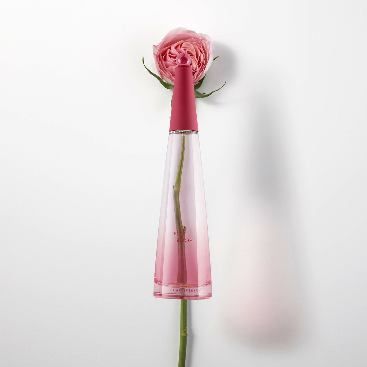 Women's Perfume Issey Miyake L'Eau d'Issey Rose & Rose EDP for Women bottle