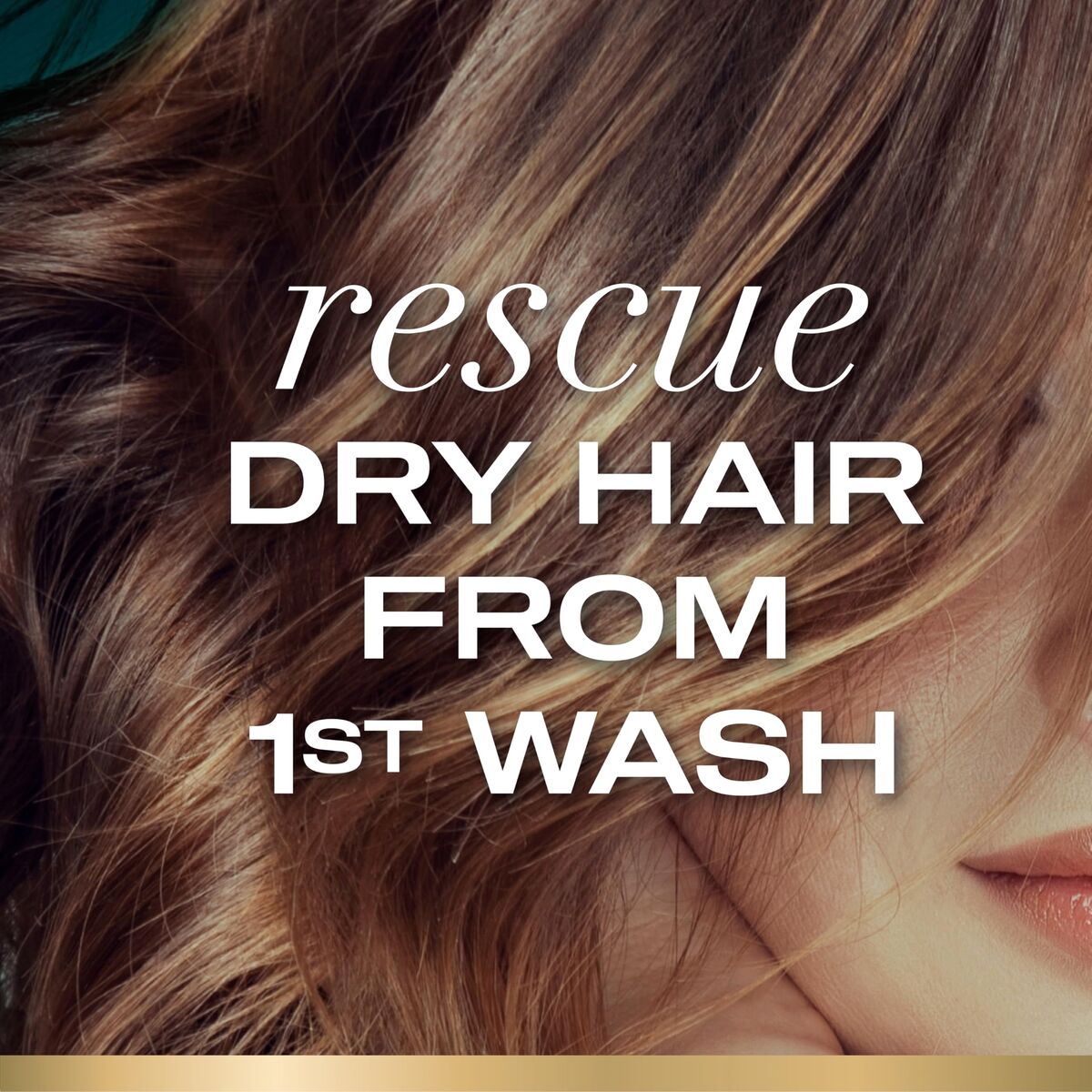 V1H79919AE3FFD1C8493F6CF4E3C33010B7RP5