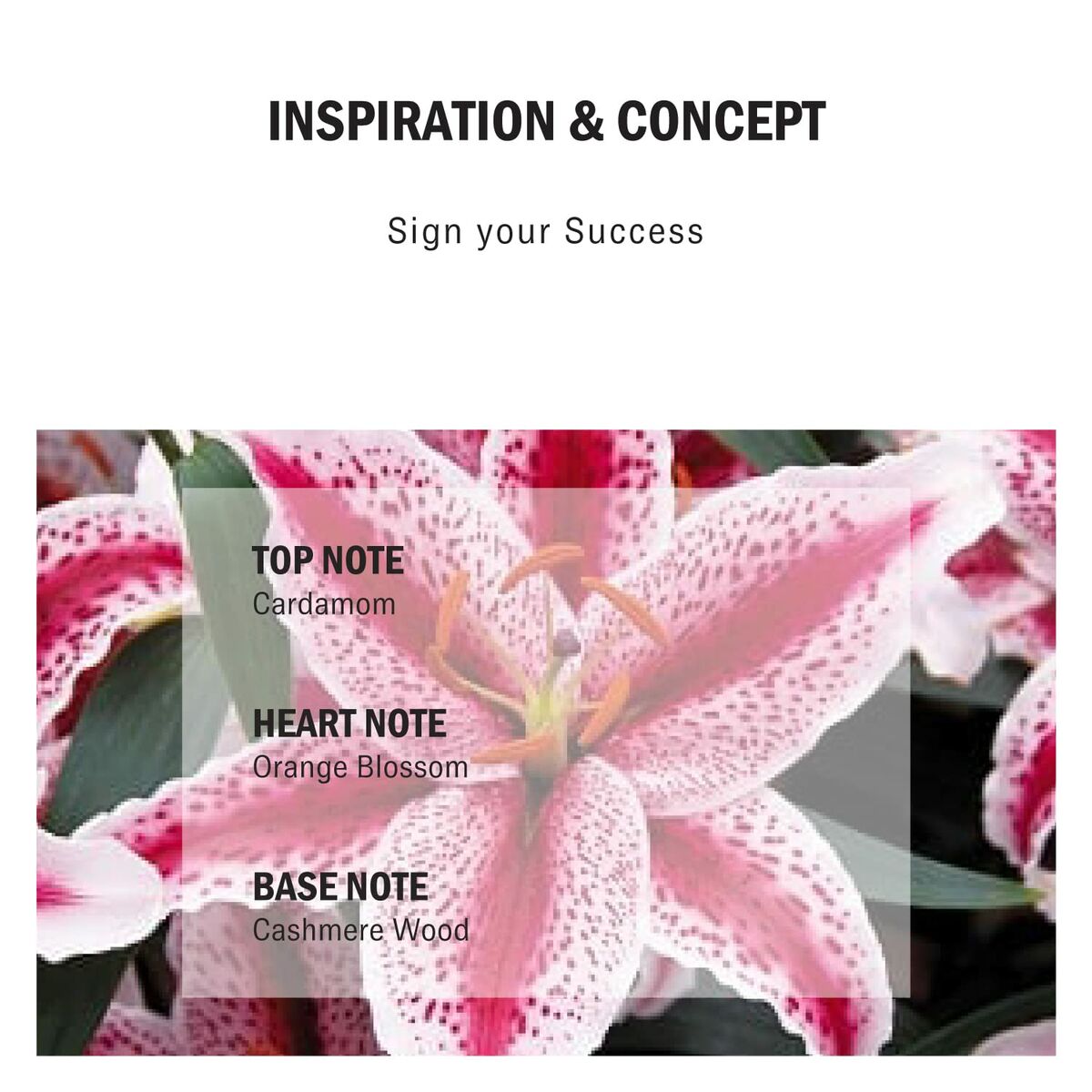 Deodorant Mercedes Benz Sign 75 g for Men product packaging