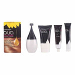 Dye No Ammonia Garnier 1118- Nº 8.0-rubio claro Nº 8,0 Rubio Claro Lote (1 Unit) product packaging