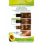 Permanent Colour Creme Garnier Nutrisse Nº 6,41-Sweet Amber (3 Units) skincare packaging