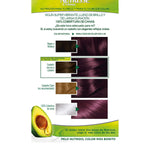 Permanent Dye Garnier Nutrisse Nº 4,26 Nº 4,26-Cassis 1 U (3 Units) product packaging