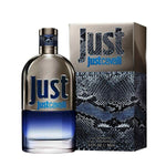 Men's Perfume Roberto Cavalli Just Cavalli EDT 90 ml for Men bottle