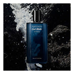 Men's Perfume Davidoff EDP 125 ml for Men bottle