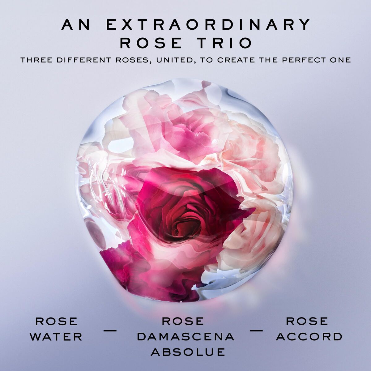 Women's Perfume Lancôme La Vie Est Belle Rose Extraordinaire EDP EDT 100 ml for Women bottle