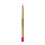 Lip Liner Pencil Colour Elixir Max Factor Nº 45 Rosy Berry (10 g) makeup packaging