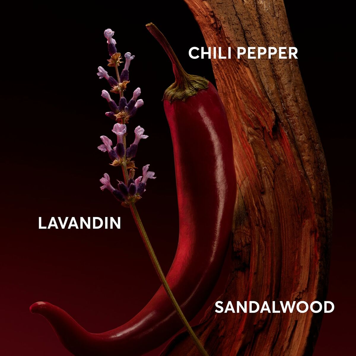 Men's Perfume BOSS THE SCENT FOR HIM ELIXIR EDP 50 ml for Men bottle