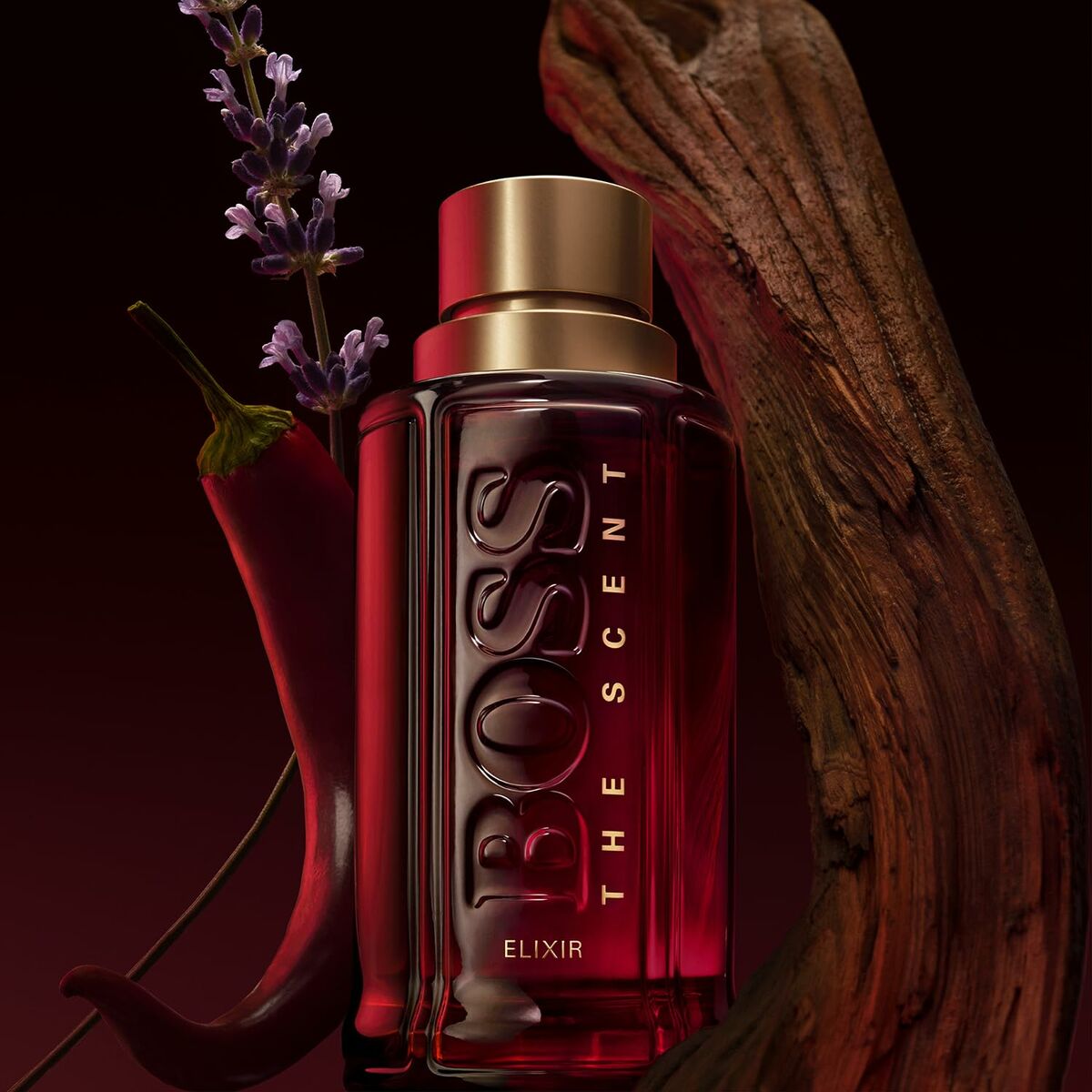 Men's Perfume BOSS THE SCENT FOR HIM ELIXIR EDP 50 ml for Men bottle