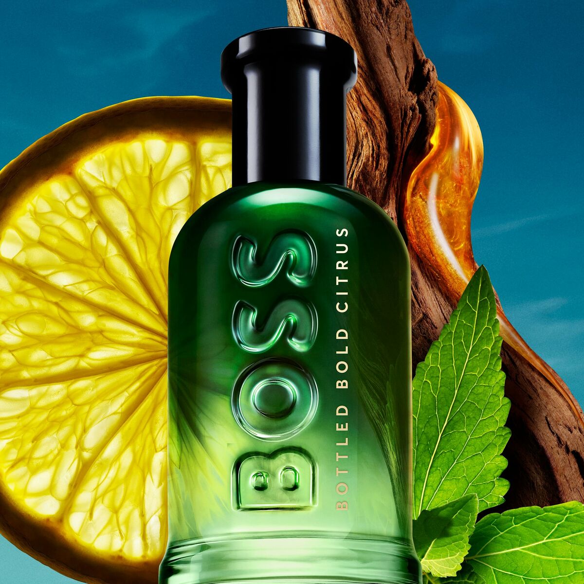 Men's Perfume BOSS BOTTLED 50 ml product packaging