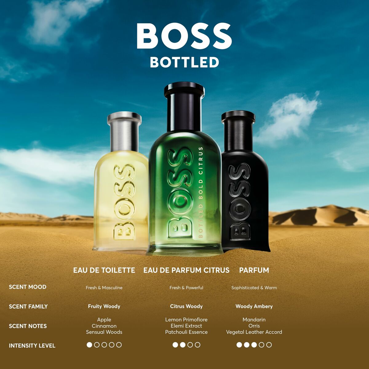 Men's Perfume BOSS BOTTLED 50 ml product packaging