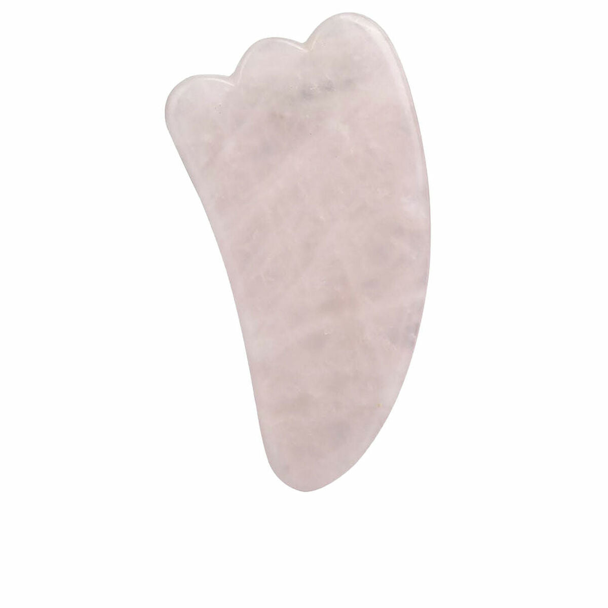 Facial cleansing brush Paloma Beauties HIGIENE Y BIENESTAR Pink product packaging