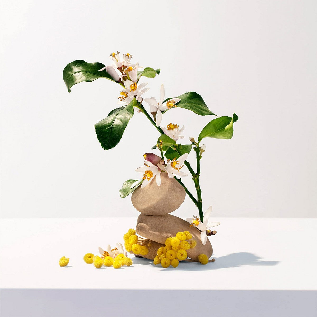 Shower Gel Roger & Gallet Néroli (200 ml) for Women skincare packaging