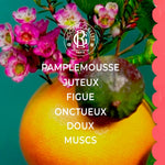 Unisex Perfume Roger & Gallet FLEUR DE FIGUIER Fleur De Figuier product packaging