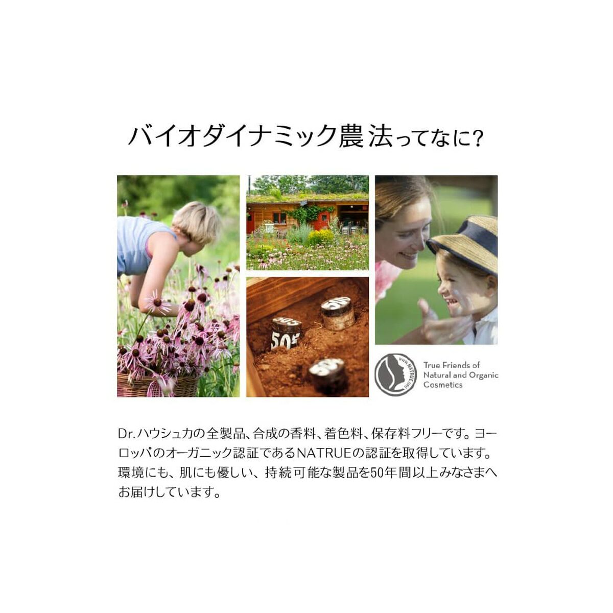 Day Cream Dr. Hauschka 30 ml for Women skincare packaging
