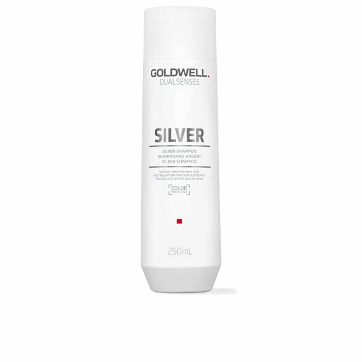 Shampoo for Blonde or Graying Hair Goldwell Silver 250 ml shampoo bottle