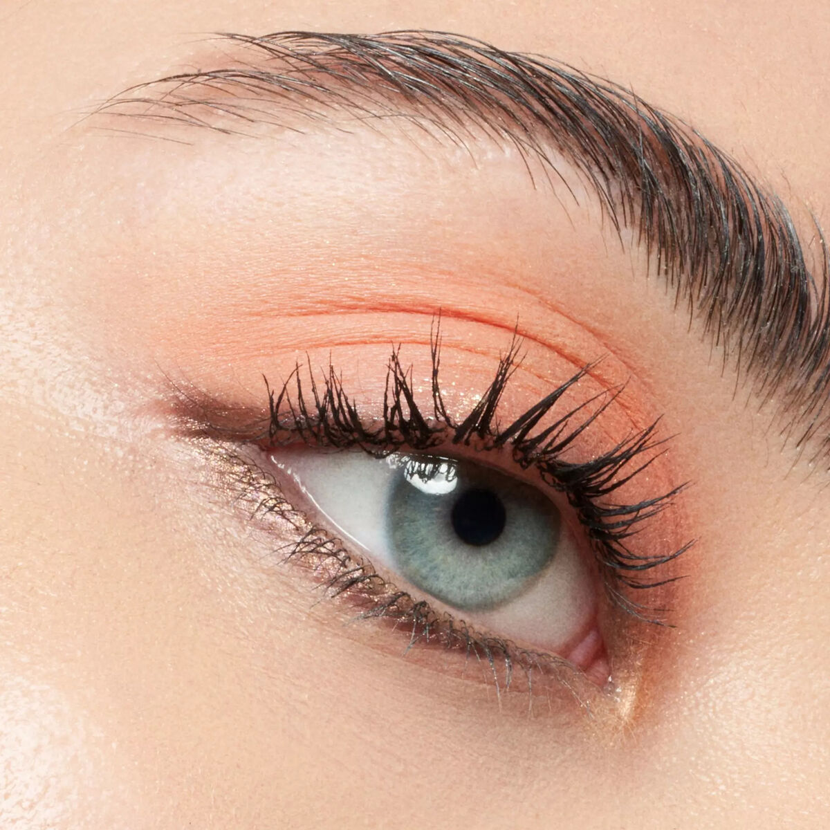 Eyebrow mascara Catrice Colour Fix Nº 030 Dark Brown 5 ml makeup packaging
