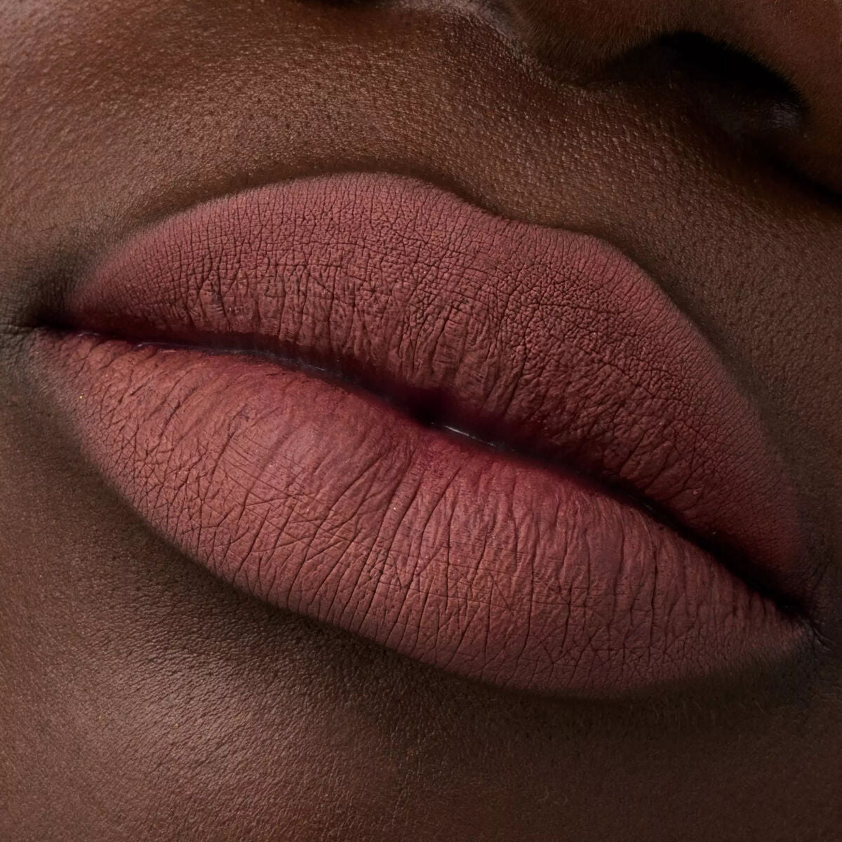 Lip Liner Catrice Plumping Nº 069 Mainhattan Nº 069-Mainhattan 0,35 g 0.35 g makeup packaging
