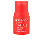 Lipstick Essence WHAT A TINT! 5 g makeup packaging