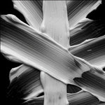 V2H5C9BB6DB771835395D45148963E6CB71R7711082P2