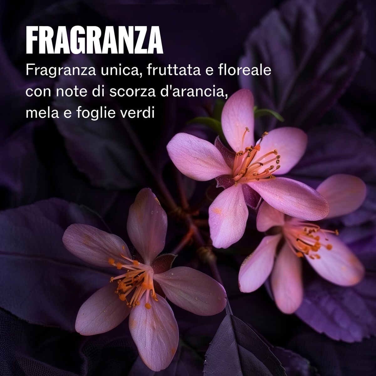 V2H6F4CB92AD26869C5018DB0CF3D56F337R7649962P10