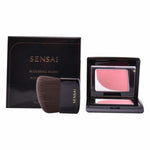 Blush Kanebo 4 g makeup packaging