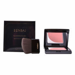 Blush Kanebo 4 g makeup packaging