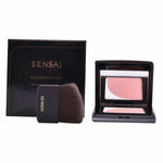 Blush Kanebo 4 g makeup packaging