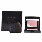 Blush Kanebo 4 g makeup packaging
