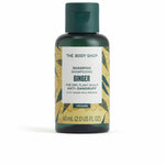 Shampoo The Body Shop GINGER 60 ml shampoo bottle