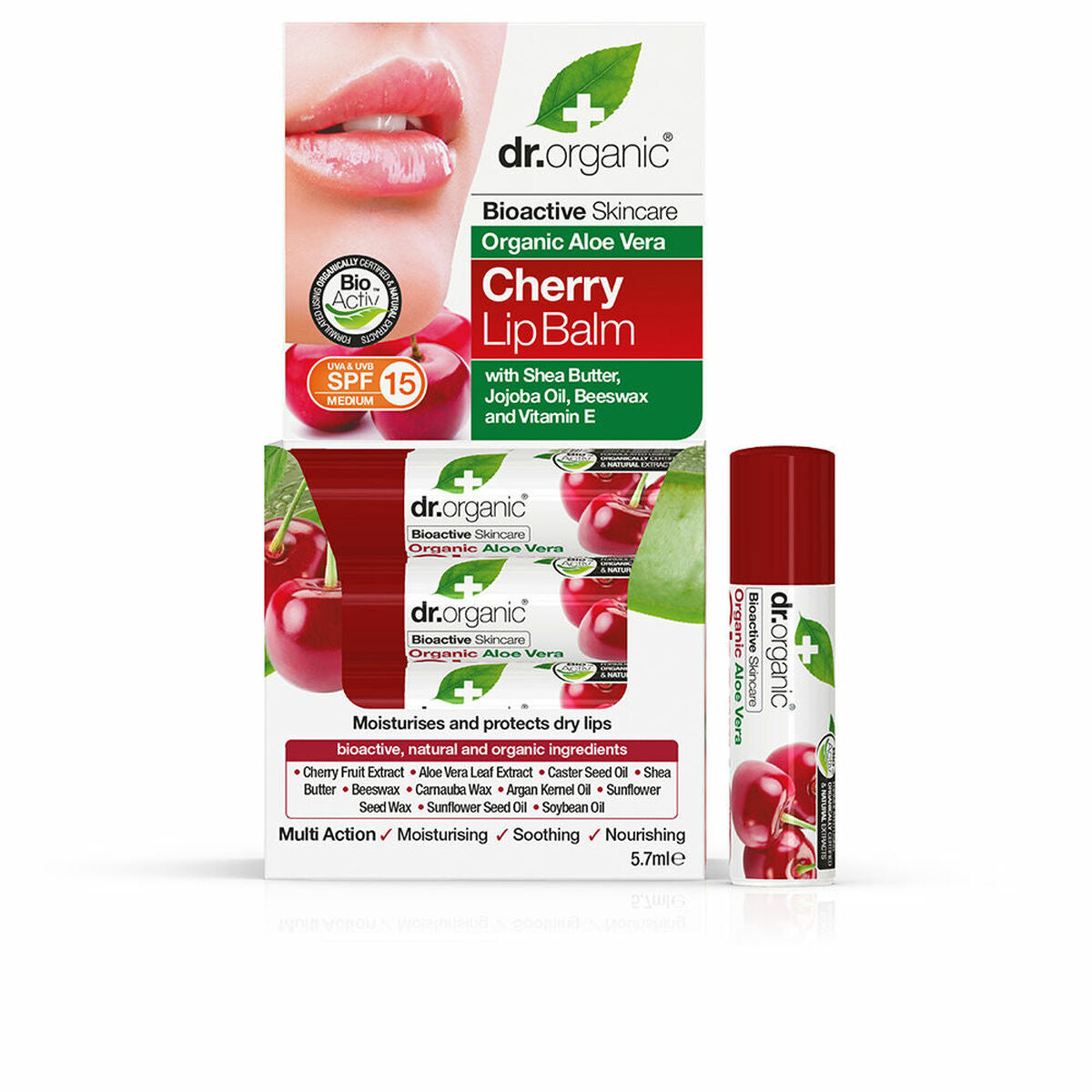 Lip Balm Dr.Organic Spf 15 5,7 g Aloe Vera Cherry for Women skincare packaging 5.7 g