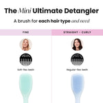 Hairdryer Tangle Teezer ULTIMATE DETANGLER product packaging