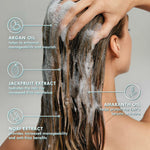 Shampoo Moroccanoil shampoo bottle