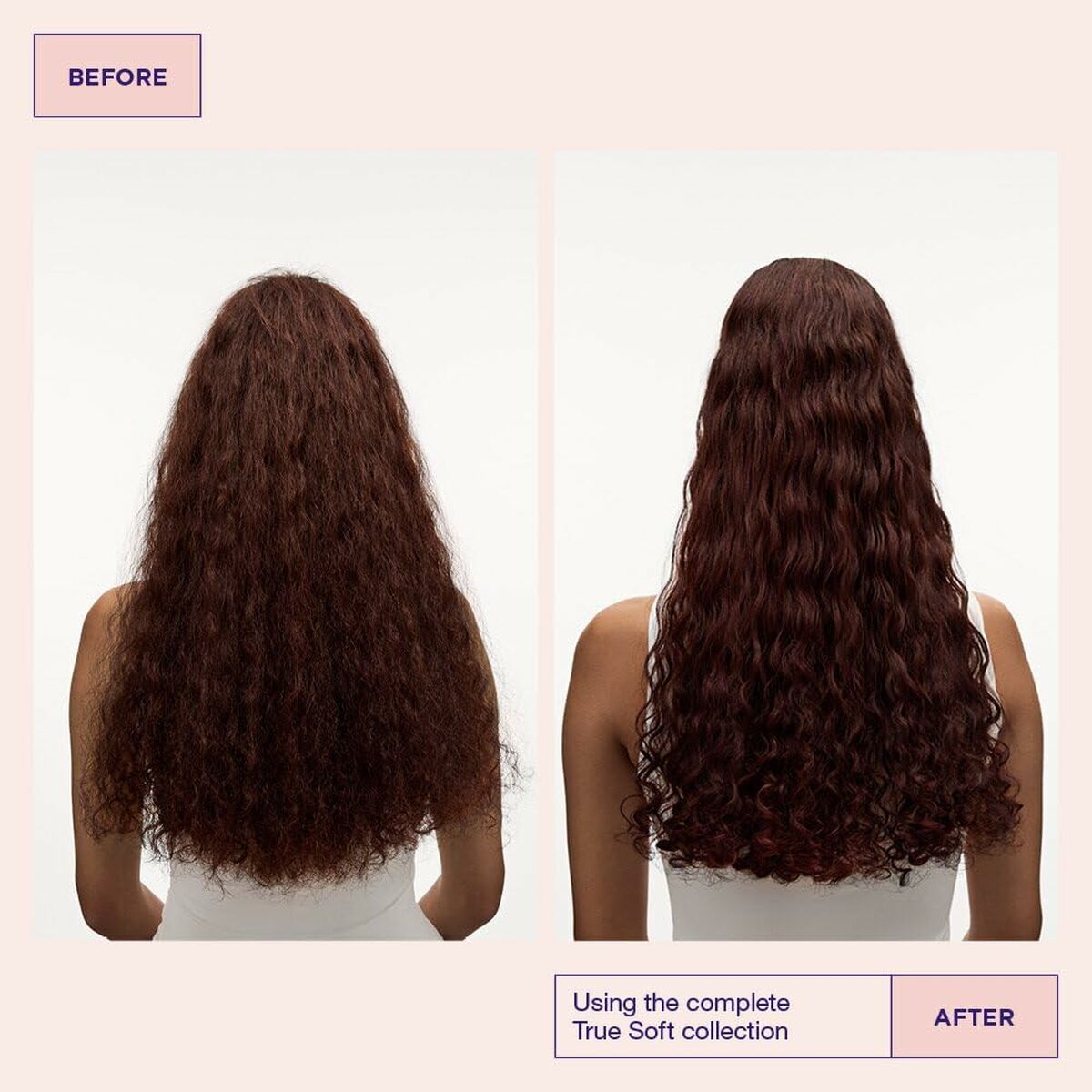 Shampoo Maria Nila TRUE SOFT 350 ml shampoo bottle