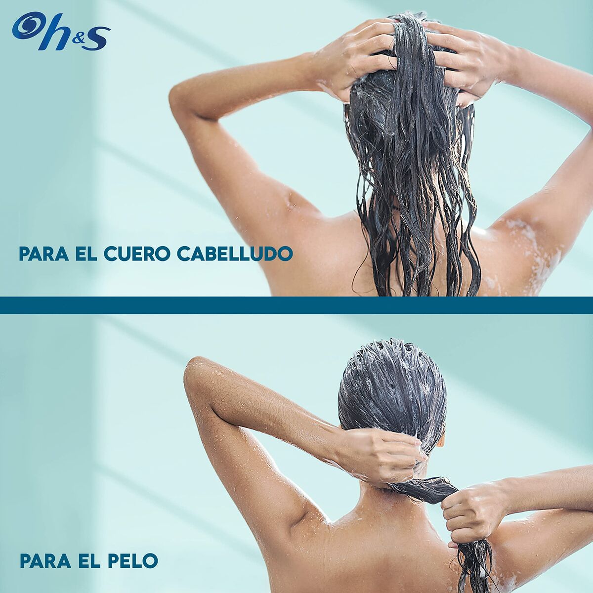 Shampoo Head & Shoulders S Derma X Pro 220 ml shampoo bottle